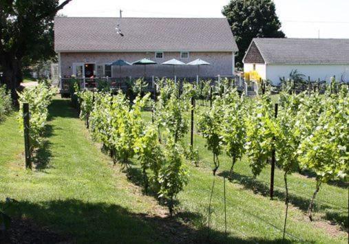 The Langworthy Inn & Winery Уэстерли Экстерьер фото